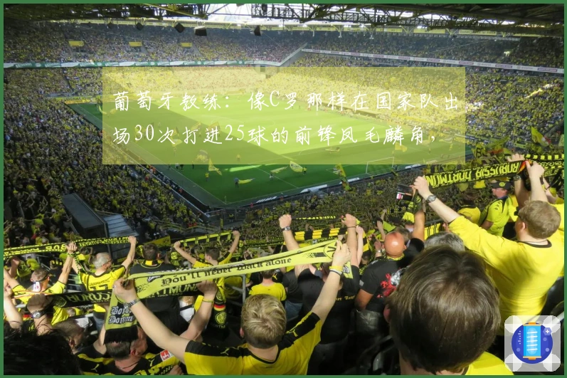 葡萄牙教练：像C罗那样在国家队出场30次打进25球的前锋凤毛麟角，他始终全力以赴