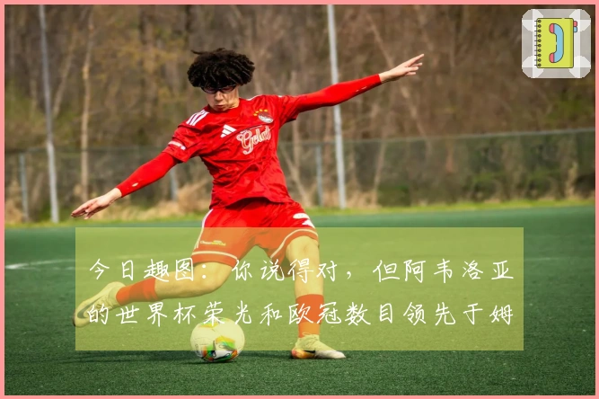 今日趣图：你说得对，但阿韦洛亚的世界杯荣光和欧冠数目领先于姆总