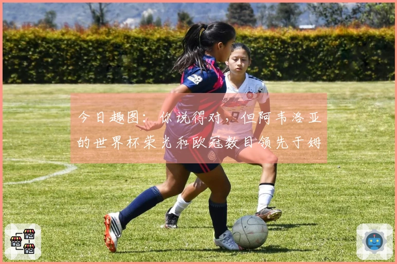 今日趣图：你说得对，但阿韦洛亚的世界杯荣光和欧冠数目领先于姆总